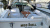 Imagen de Sea Ray 310 Amberjack