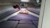Imagen de Sea Ray 310 Amberjack