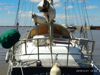Imagen de Cape North 43