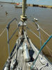 Imagen de Cape North 43