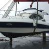 Imagen de Sk 36