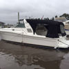 Imagen de Sea Ray 37 Express Cruiser