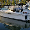 Imagen de Sea Ray 310 Amberjack