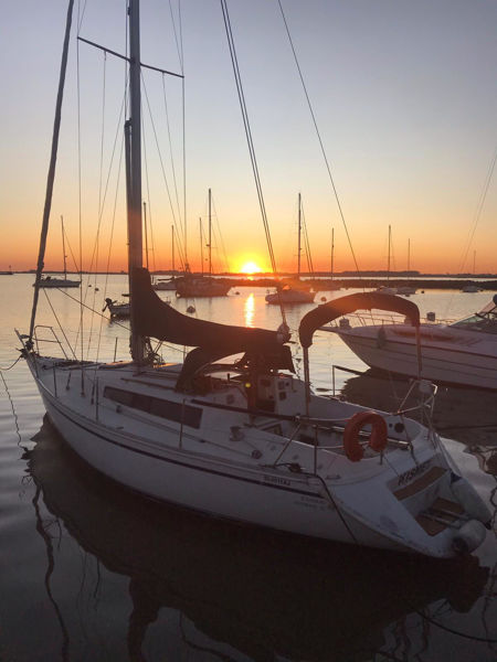 Imagen de Jeanneau Sunrise 35'
