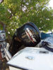 Imagen de Pereque