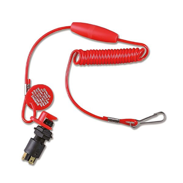 Imagen de Conector Motor F/B con Ficha
