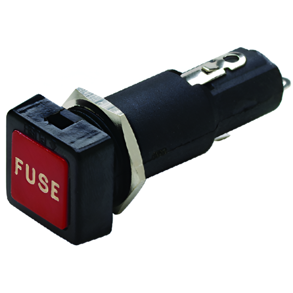 Imagen de Caja fusibles PVC con testigo cuadrado
