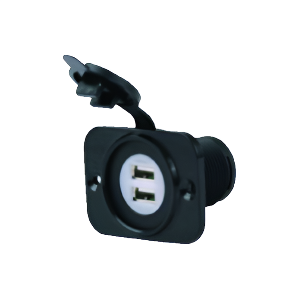 Imagen de Toma hembra para 2 USB de plástico