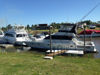 Imagen de Sultana 1