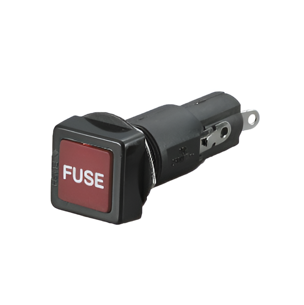 Imagen de Fusible frente cuadrado con luz 15A
