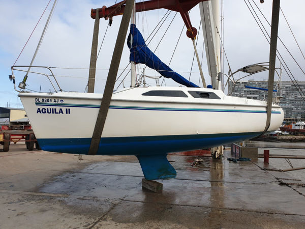 Imagen de Catalina 250