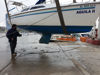 Imagen de Catalina 250
