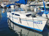 Imagen de Catalina 250