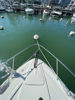 Imagen de Sea Ray 335