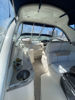 Imagen de Sea Ray 335