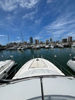 Imagen de SEA RAY 48' DB Sedan Bridge