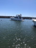 Imagen de SEA RAY 48'