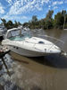 Imagen de Sea Ray 335