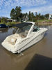 Imagen de Sea Ray 335